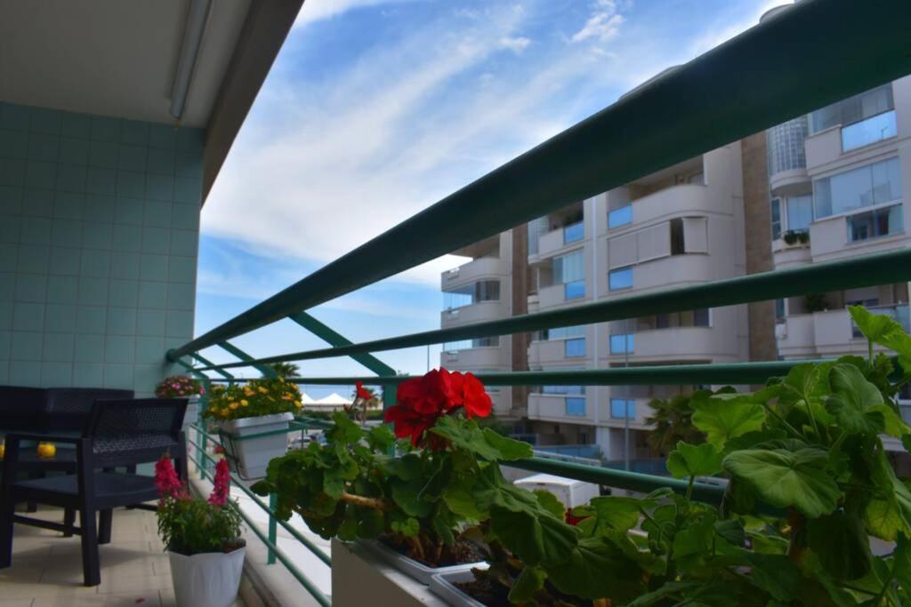Donna Teresa Accomodation - Holiday House Monopoli Exterior photo